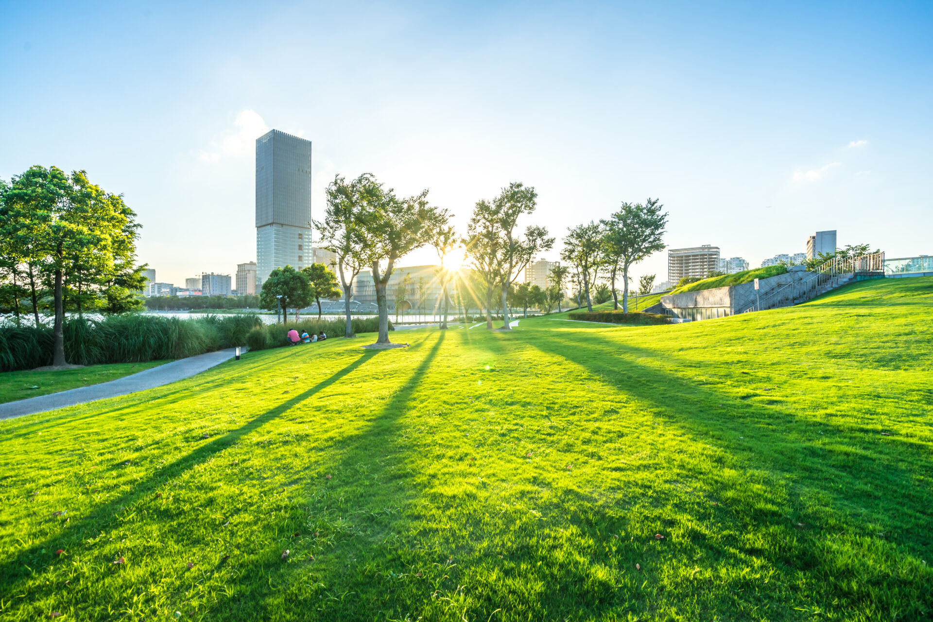 公園の景色